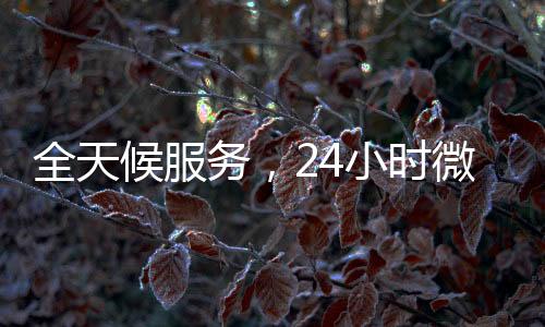 全天候服务，24小时微信联系方式回收，轻松变现！