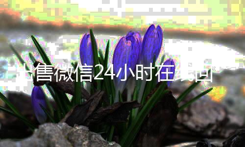 出售微信24小时在线回收(出售微信24小时在线回收电话号码)