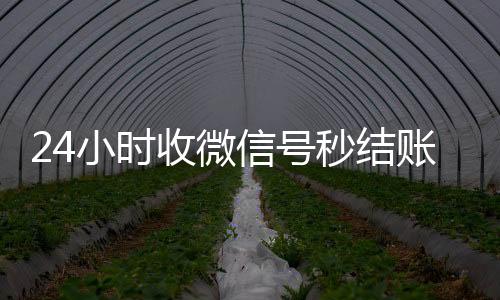 24小时收微信号秒结账(24小时收微信号秒结账平台)